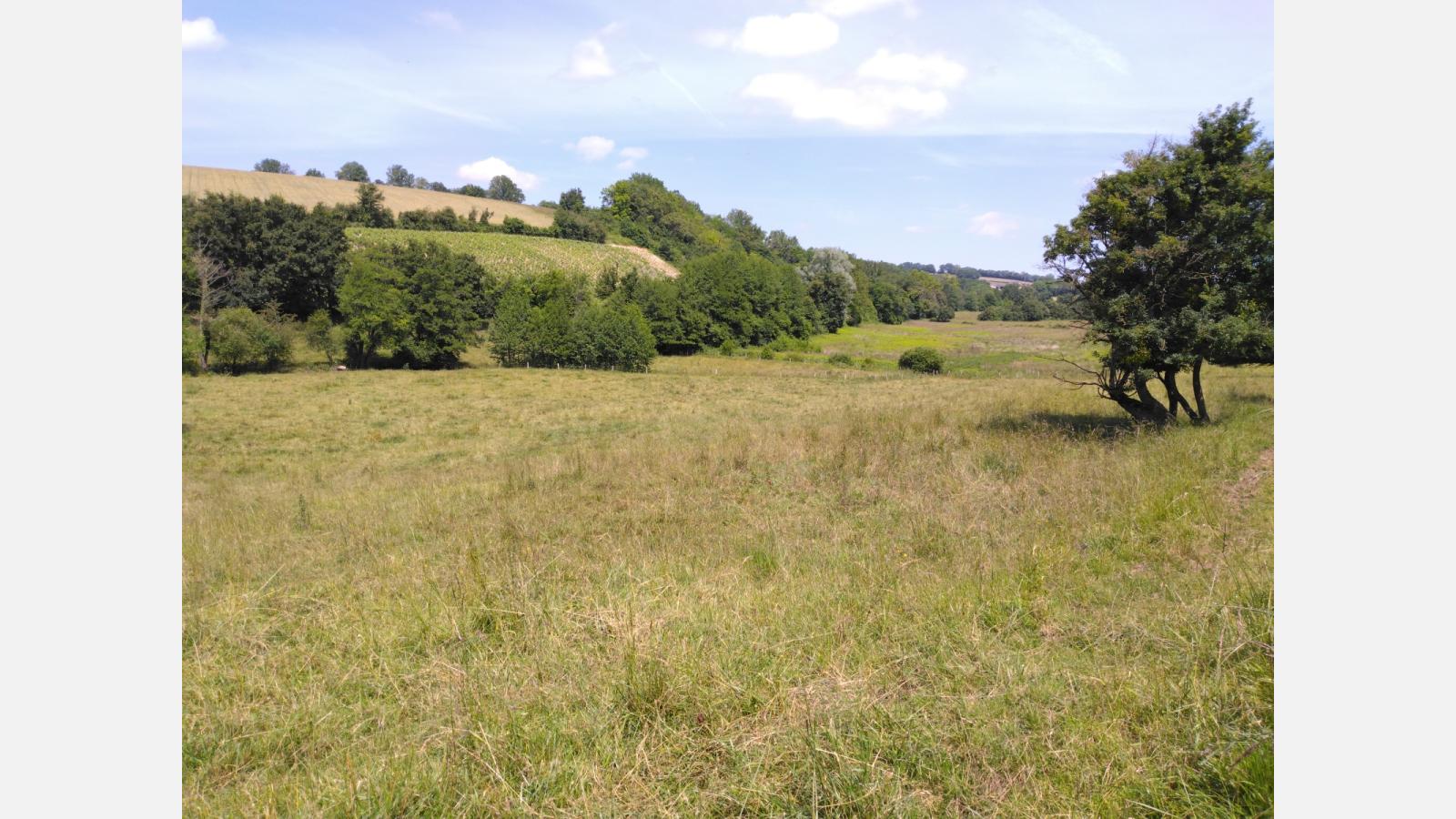 Prairies naturelles à Humbligny