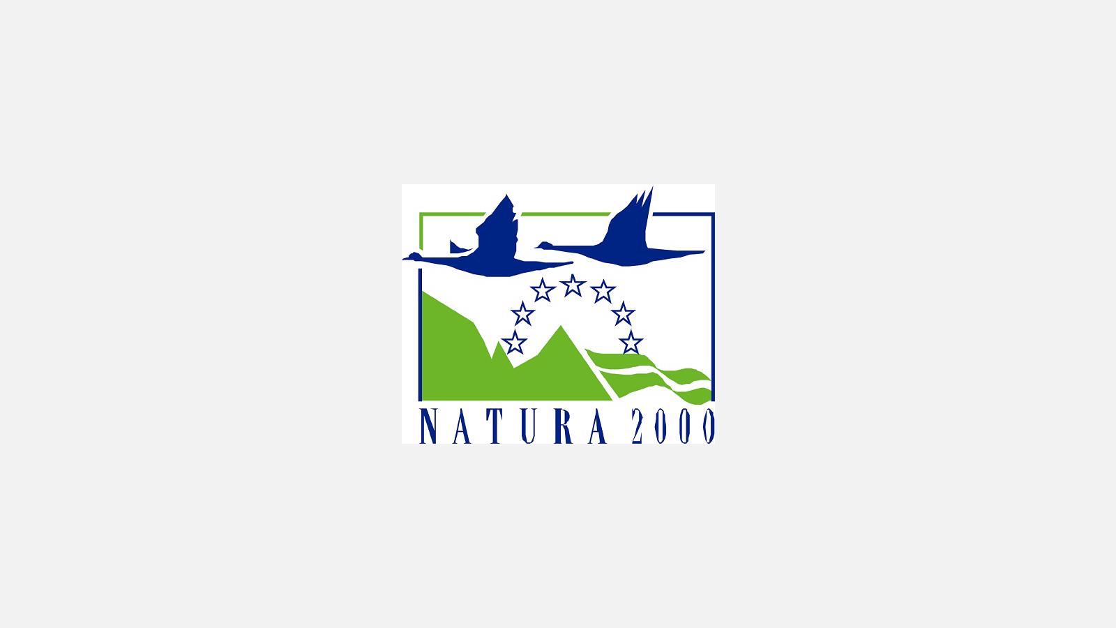 n2000.jpg